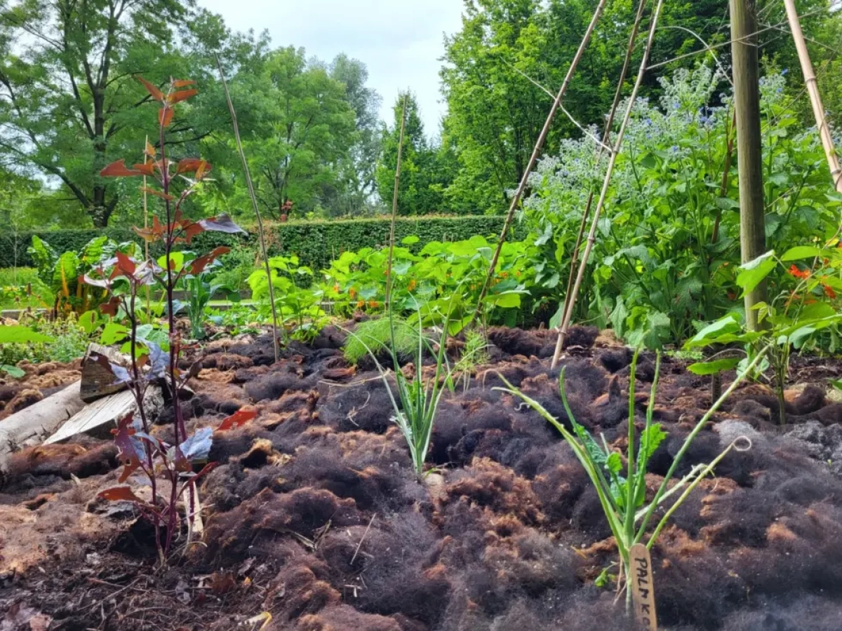 Ecologisch Tuinieren